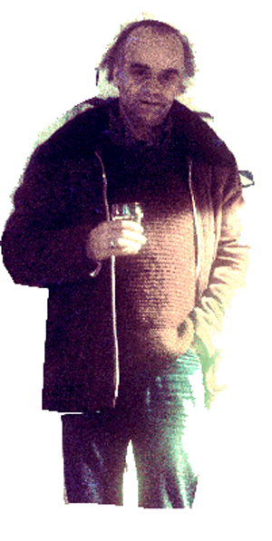 Karl Iljitsj Pelgrom